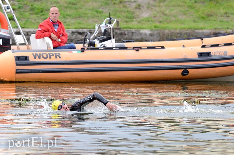 Pływają aż miło. Kibice nie zawiedli zdjęcie nr 92542
