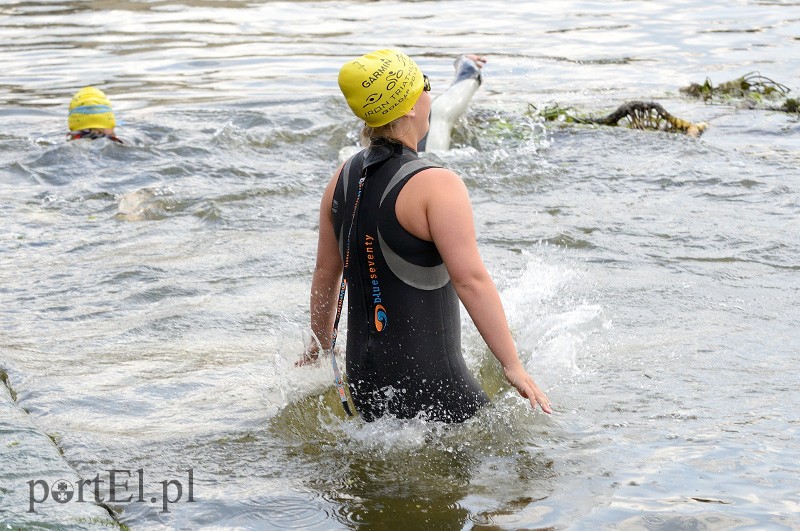 Pływają aż miło. Kibice nie zawiedli zdjęcie nr 92534
