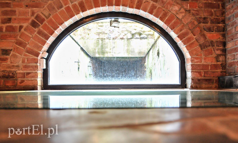 Nieokiełznana, nieujarzmiona, dzika – sobota z przewodnikiem śladem Dzikuski zdjęcie nr 93834