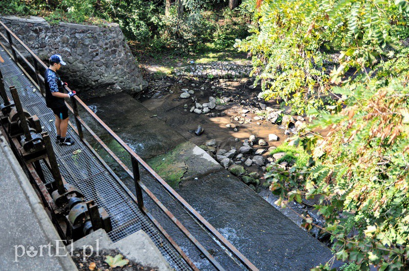 Nieokiełznana, nieujarzmiona, dzika – sobota z przewodnikiem śladem Dzikuski zdjęcie nr 93849