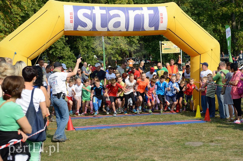 W pogoni za Bażantem zdjęcie nr 94360