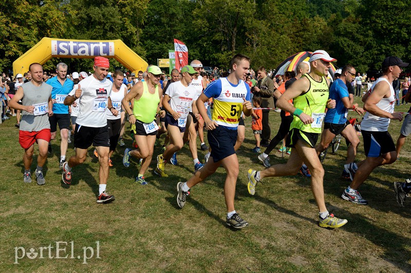 W pogoni za Bażantem zdjęcie nr 94373