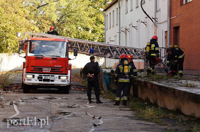 Pożar w budynku dawnej mleczarni zdjęcie nr 94500