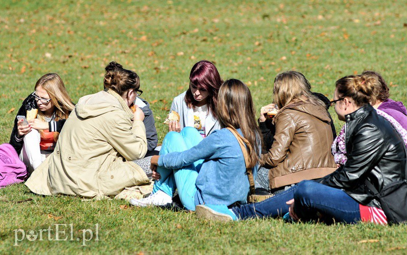 Pół tysiąca piechurów na trasie Jesiennego Rajdu zdjęcie nr 94649