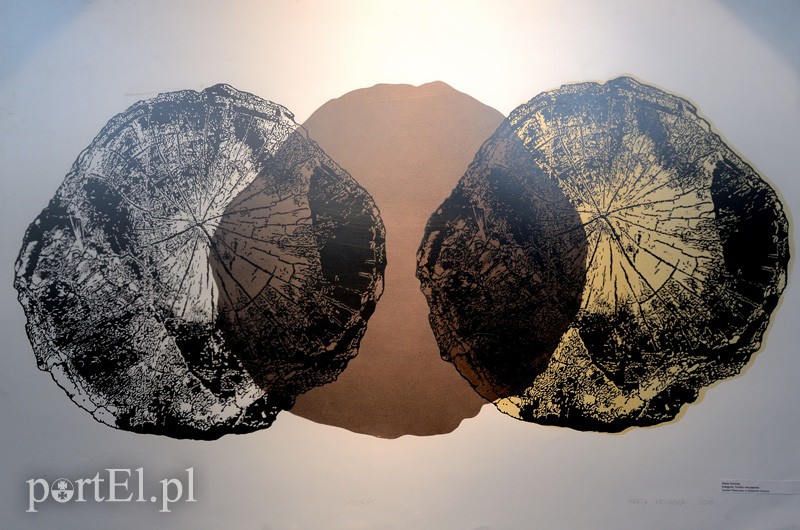 O wsi z pomysłem zdjęcie nr 94804