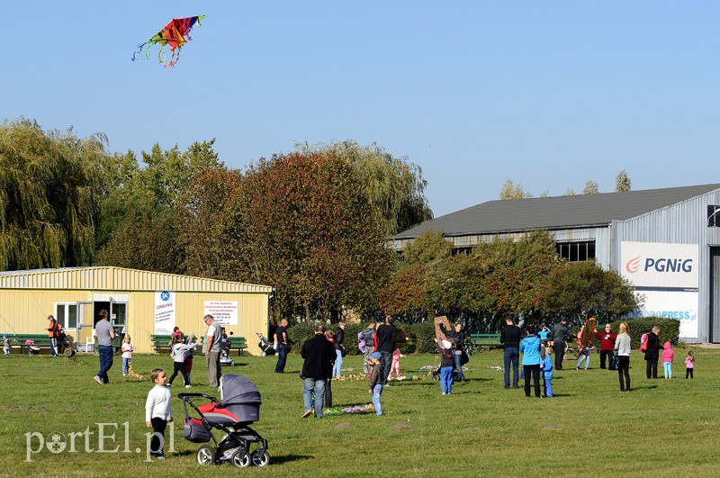 Zawody latawcowe zdjęcie nr 94957