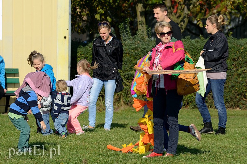 Zawody latawcowe zdjęcie nr 94936