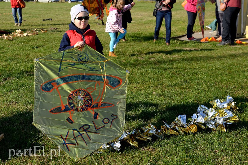 Zawody latawcowe zdjęcie nr 94932