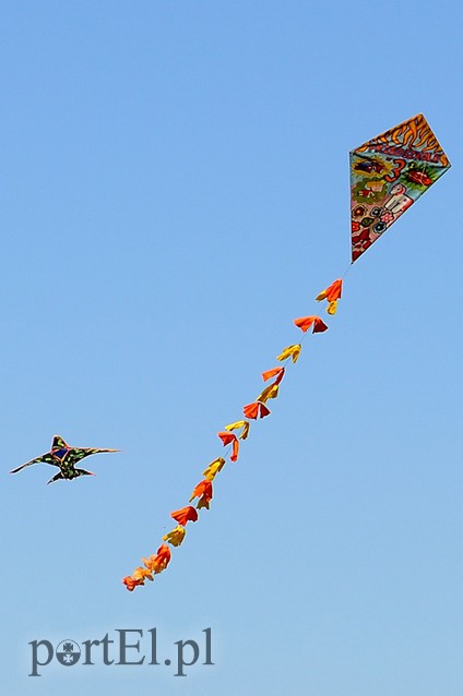 Zawody latawcowe zdjęcie nr 94949