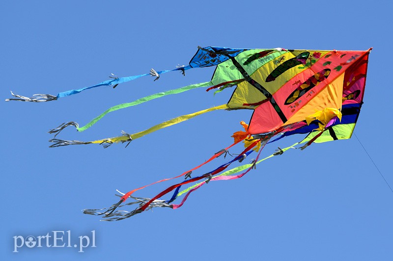 Zawody latawcowe zdjęcie nr 94959