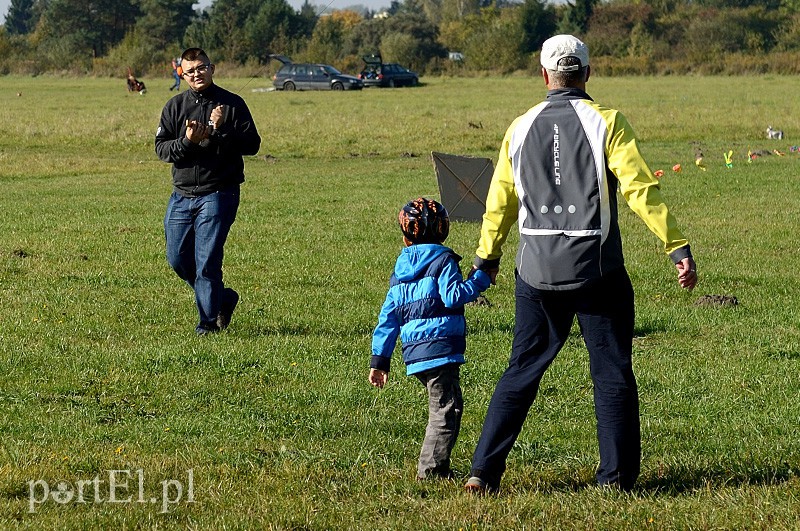 Zawody latawcowe zdjęcie nr 94948