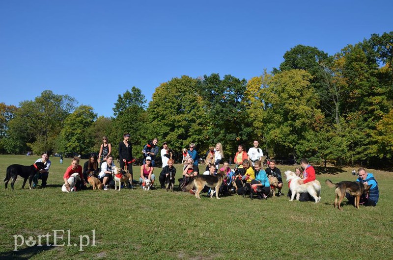 Biegali na sześć łap zdjęcie nr 94969