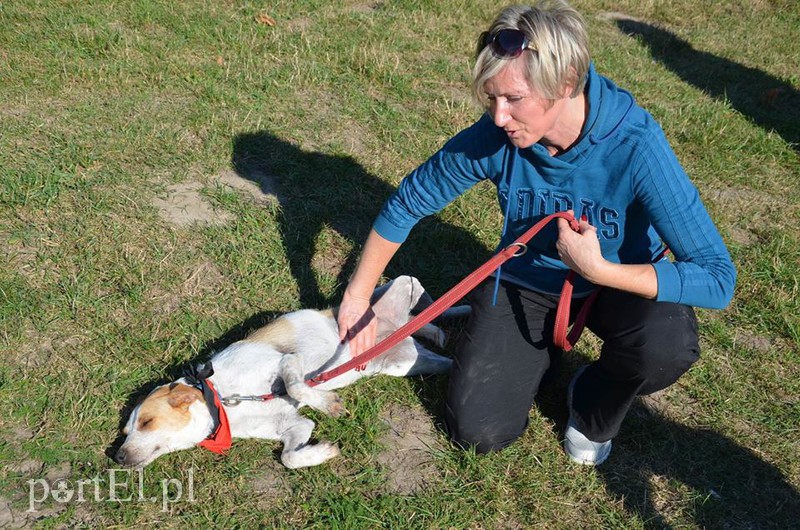 Biegali na sześć łap zdjęcie nr 94970