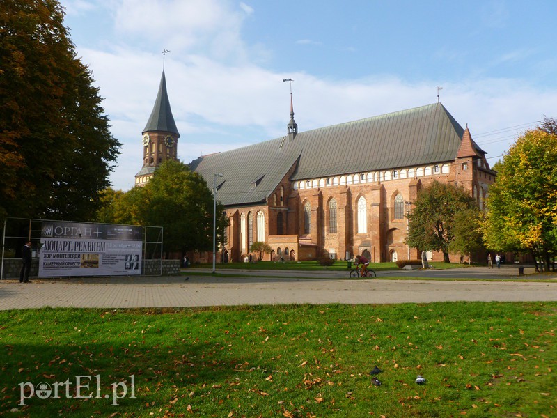 Kaliningrad z bliska zdjęcie nr 95521