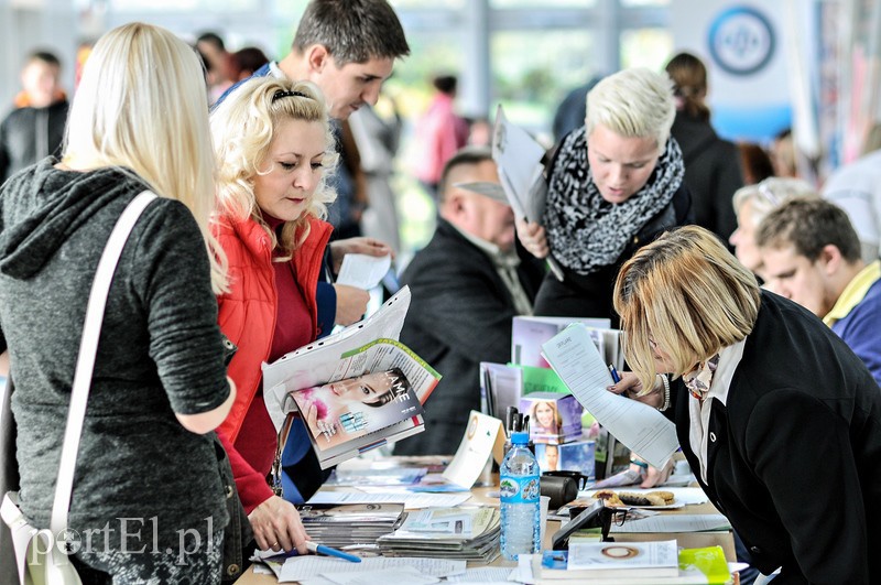 Ponad 500 ofert pracy, nie wszyscy zadowoleni zdjęcie nr 95779