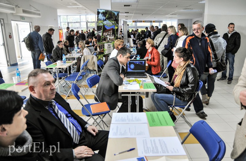 Ponad 500 ofert pracy, nie wszyscy zadowoleni zdjęcie nr 95772