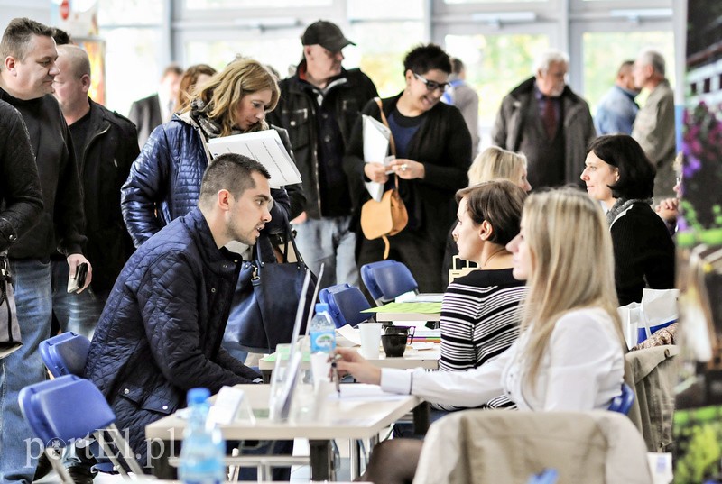 Ponad 500 ofert pracy, nie wszyscy zadowoleni zdjęcie nr 95768