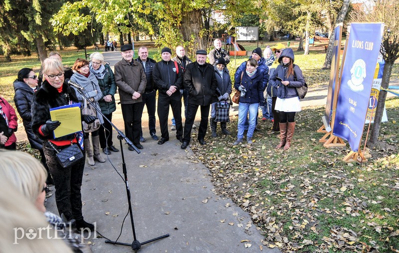 Seniorzy już ćwiczą w Ogrodzie Zdrowia zdjęcie nr 95871