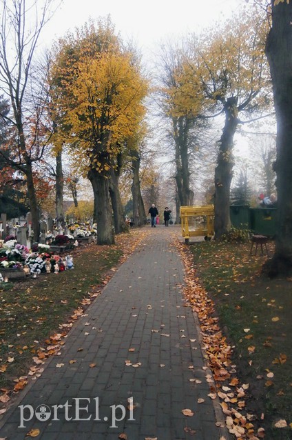 Listopad zaczyna się wspomnieniami zdjęcie nr 96007