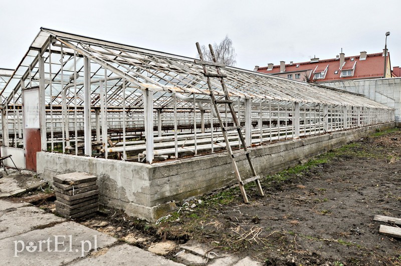 Mieszkania zamiast szklarni zdjęcie nr 96852