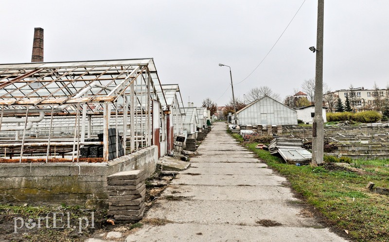 Mieszkania zamiast szklarni zdjęcie nr 96855