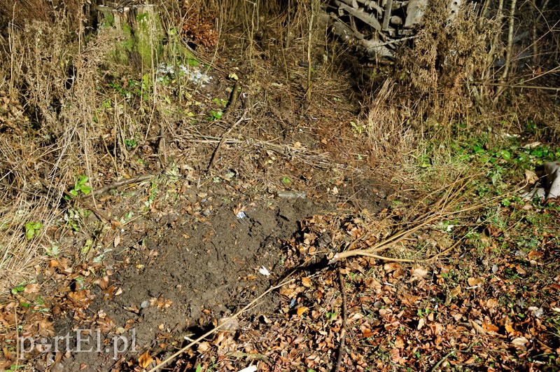 Wypadek samochodu Straży Granicznej zdjęcie nr 96973