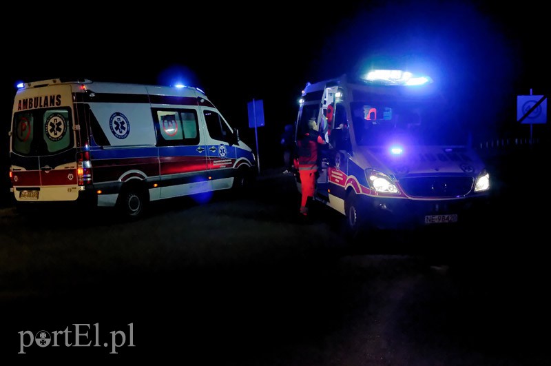 Fiestą wlecieli do ogródka działkowego zdjęcie nr 97467