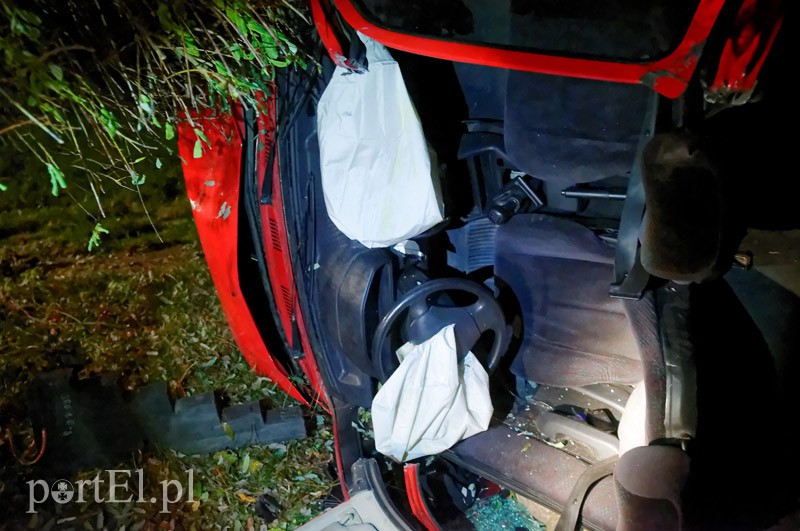 Fiestą wlecieli do ogródka działkowego zdjęcie nr 97465