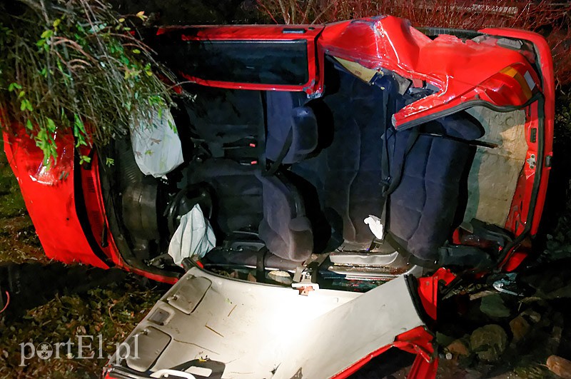 Fiestą wlecieli do ogródka działkowego zdjęcie nr 97464