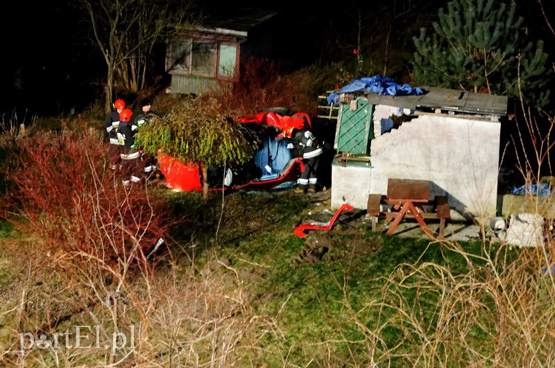 Fiestą wlecieli do ogródka działkowego zdjęcie nr 97471