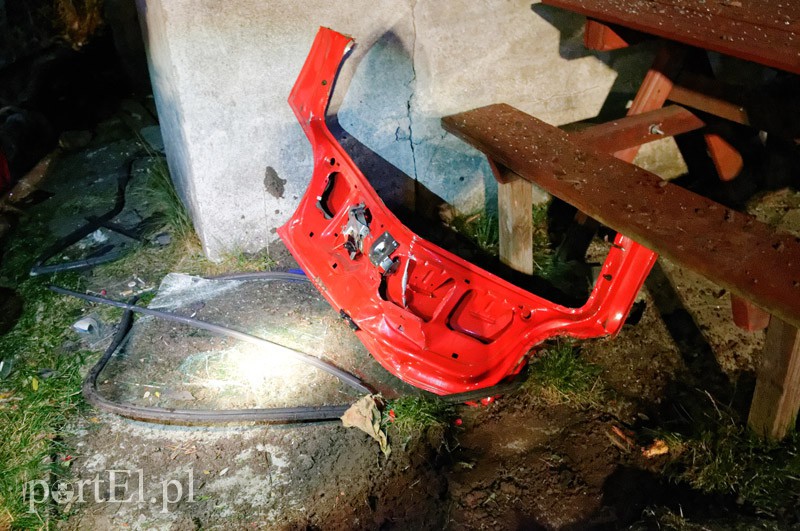 Fiestą wlecieli do ogródka działkowego zdjęcie nr 97463