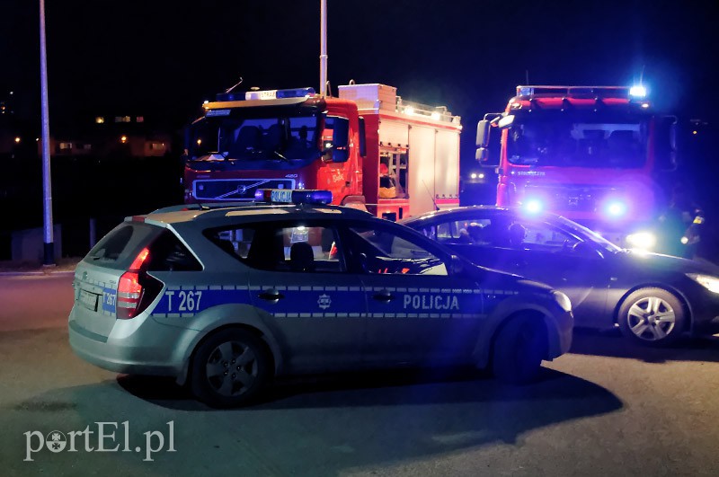 Fiestą wlecieli do ogródka działkowego zdjęcie nr 97460