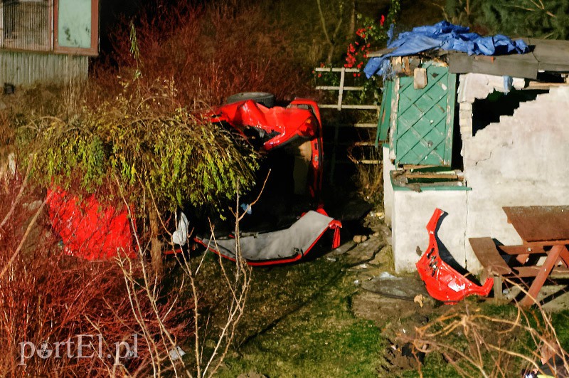 Fiestą wlecieli do ogródka działkowego zdjęcie nr 97470