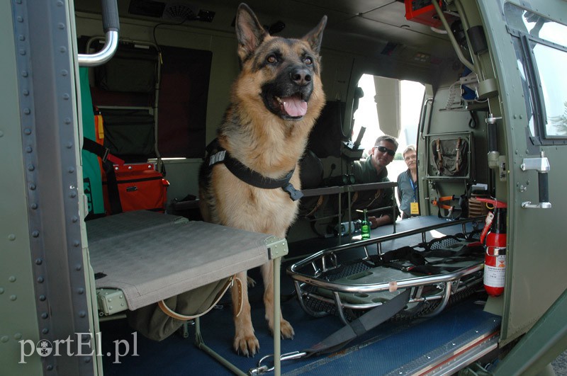 Lubię patrzeć na samoloty zdjęcie nr 97667