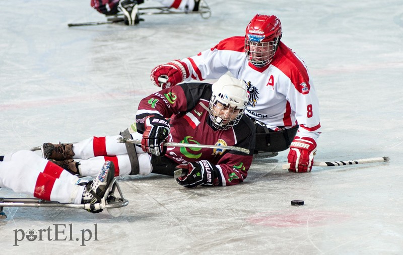 Hokej na sledżach zdjęcie nr 97778
