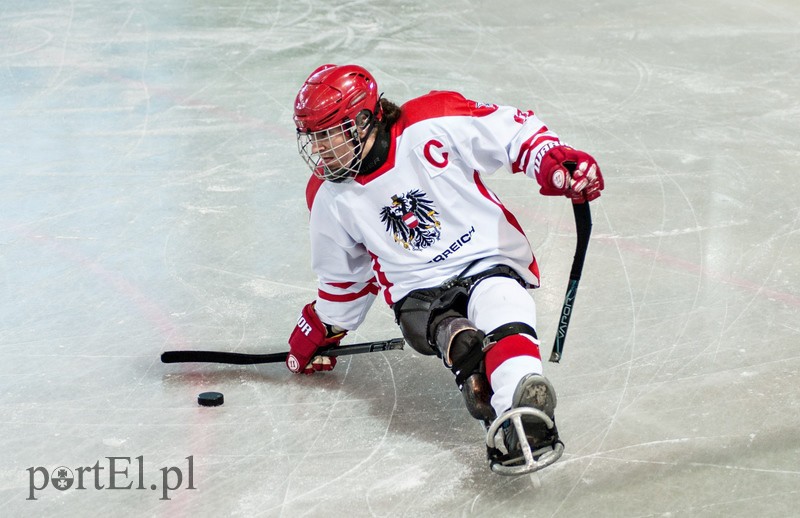 Hokej na sledżach zdjęcie nr 97772