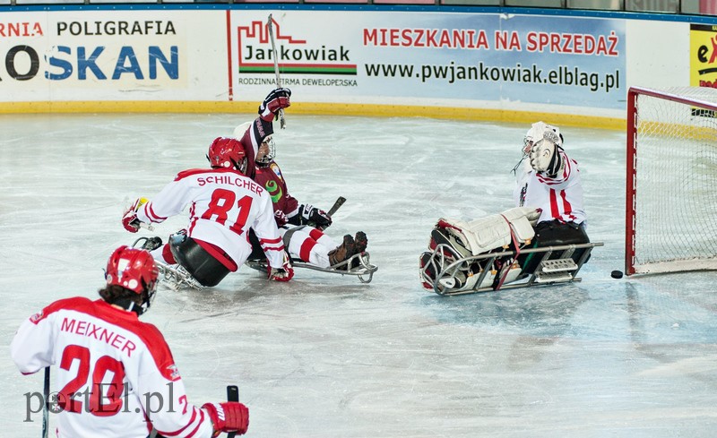 Hokej na sledżach zdjęcie nr 97773