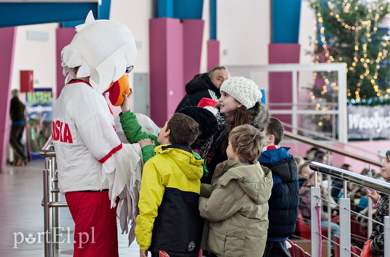 Hokej na sledżach zdjęcie nr 97780