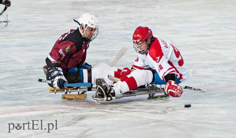 Hokej na sledżach zdjęcie nr 97776