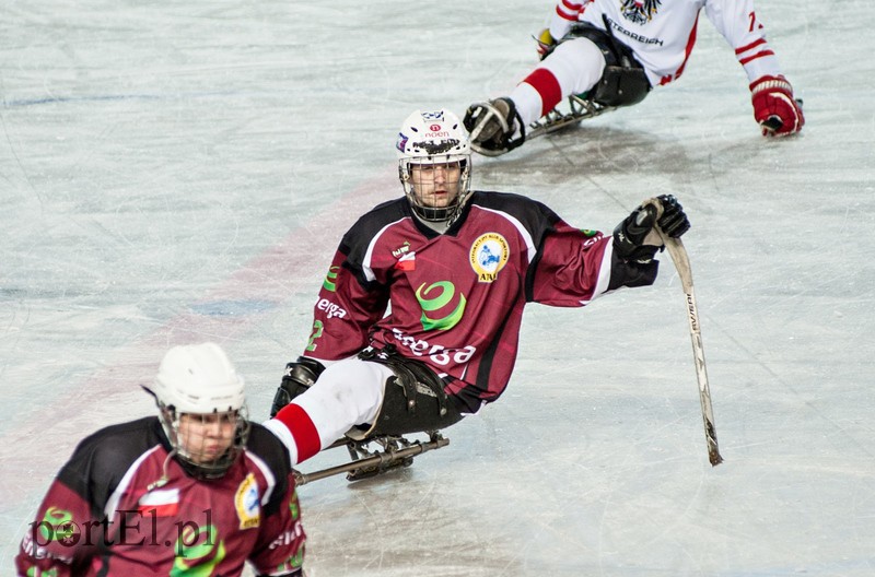 Hokej na sledżach zdjęcie nr 97784