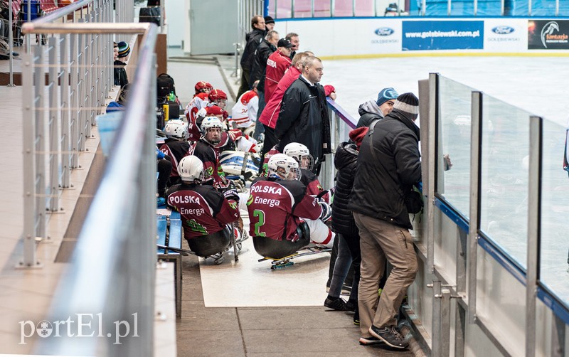 Hokej na sledżach zdjęcie nr 97787
