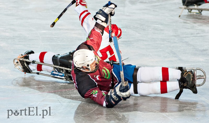 Hokej na sledżach zdjęcie nr 97777