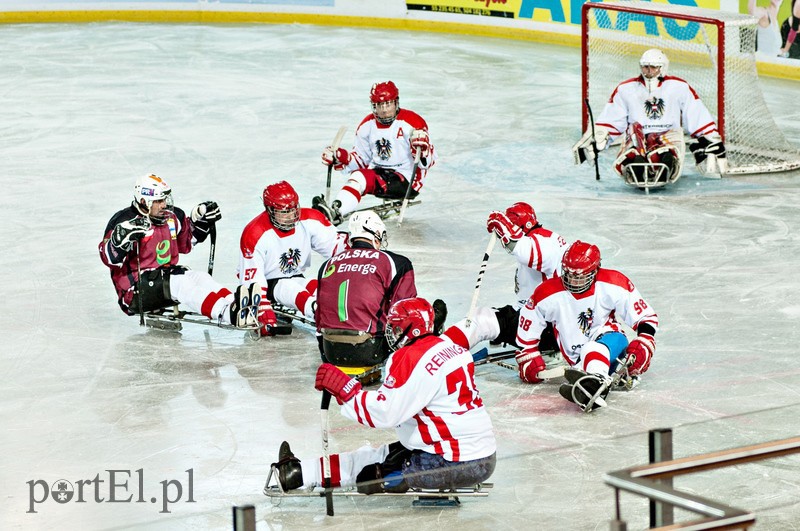 Hokej na sledżach zdjęcie nr 97785