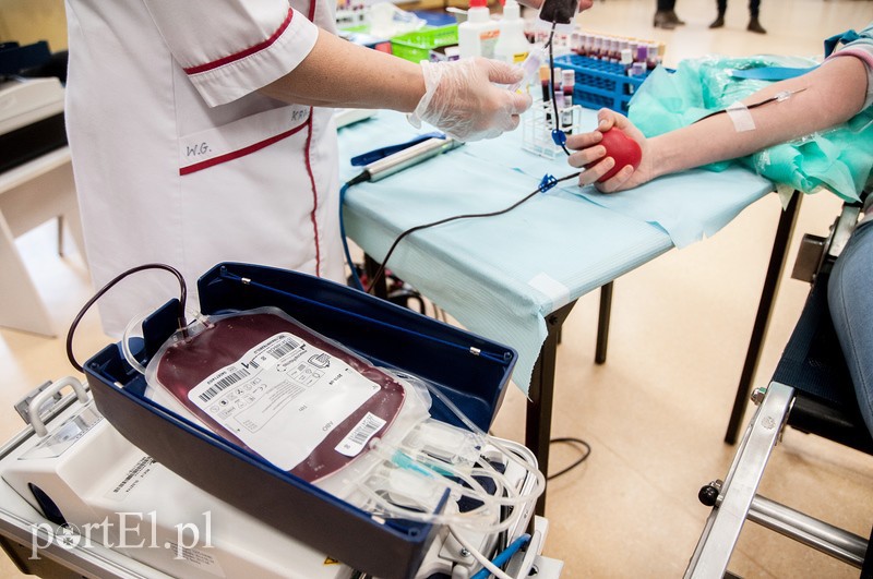 Krew w prezencie od gastronomika zdjęcie nr 98114