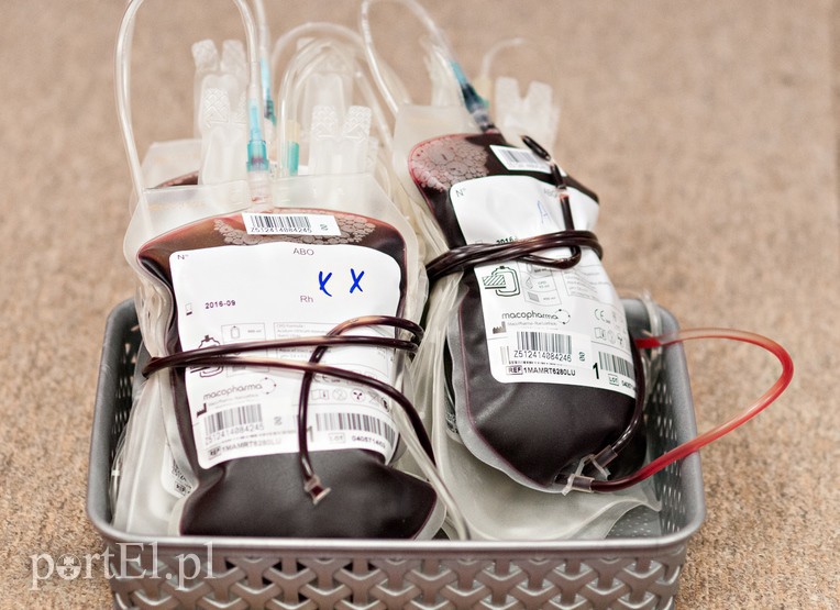 Krew w prezencie od gastronomika zdjęcie nr 98122