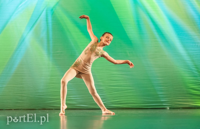 Wieczór pełen tańca zdjęcie nr 98644