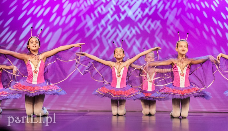 Wieczór pełen tańca zdjęcie nr 98655