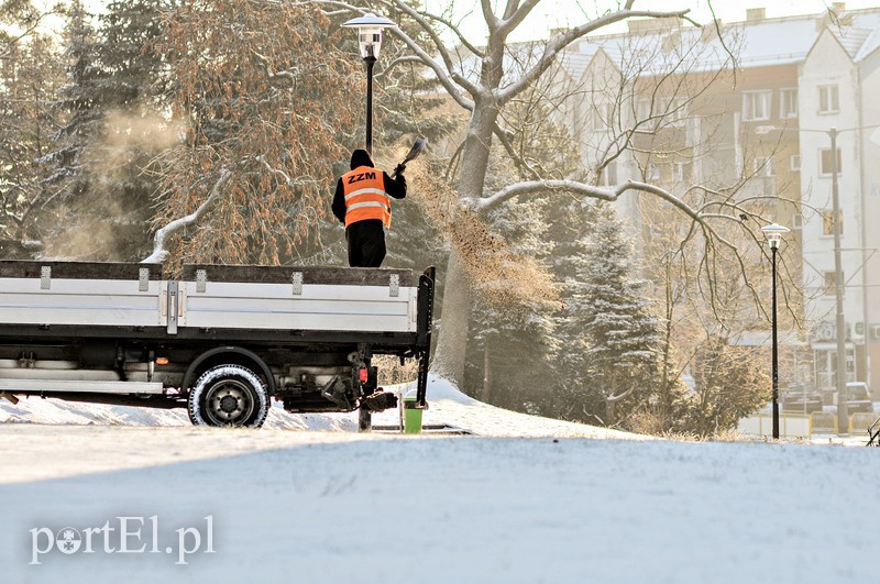 Akcja Zima zdjęcie nr 98878