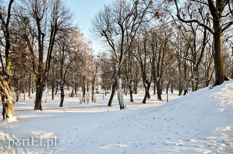 Akcja Zima zdjęcie nr 98881