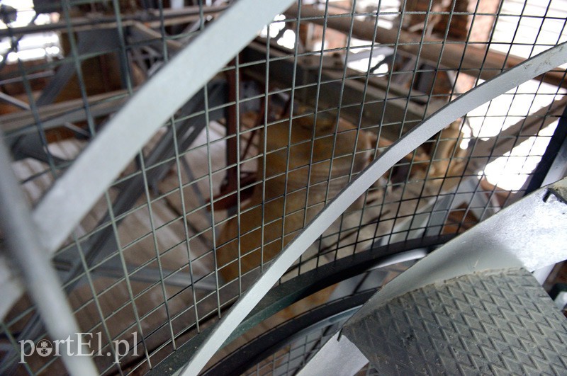 Wieża będzie czynna wiosną, my byliśmy tam już dziś zdjęcie nr 98906